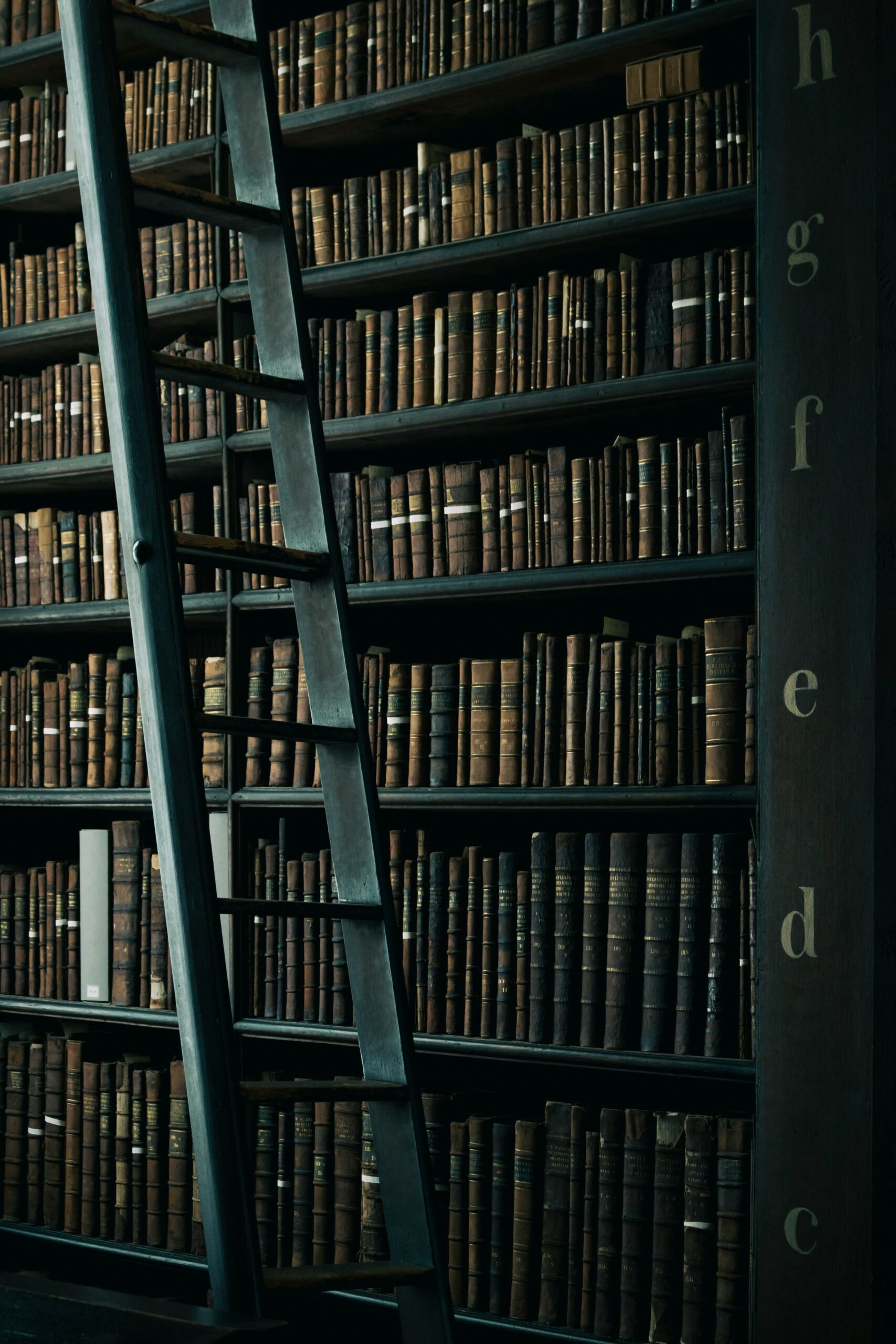 henry-be-lc7xcWebECc-unsplash best book store kochi