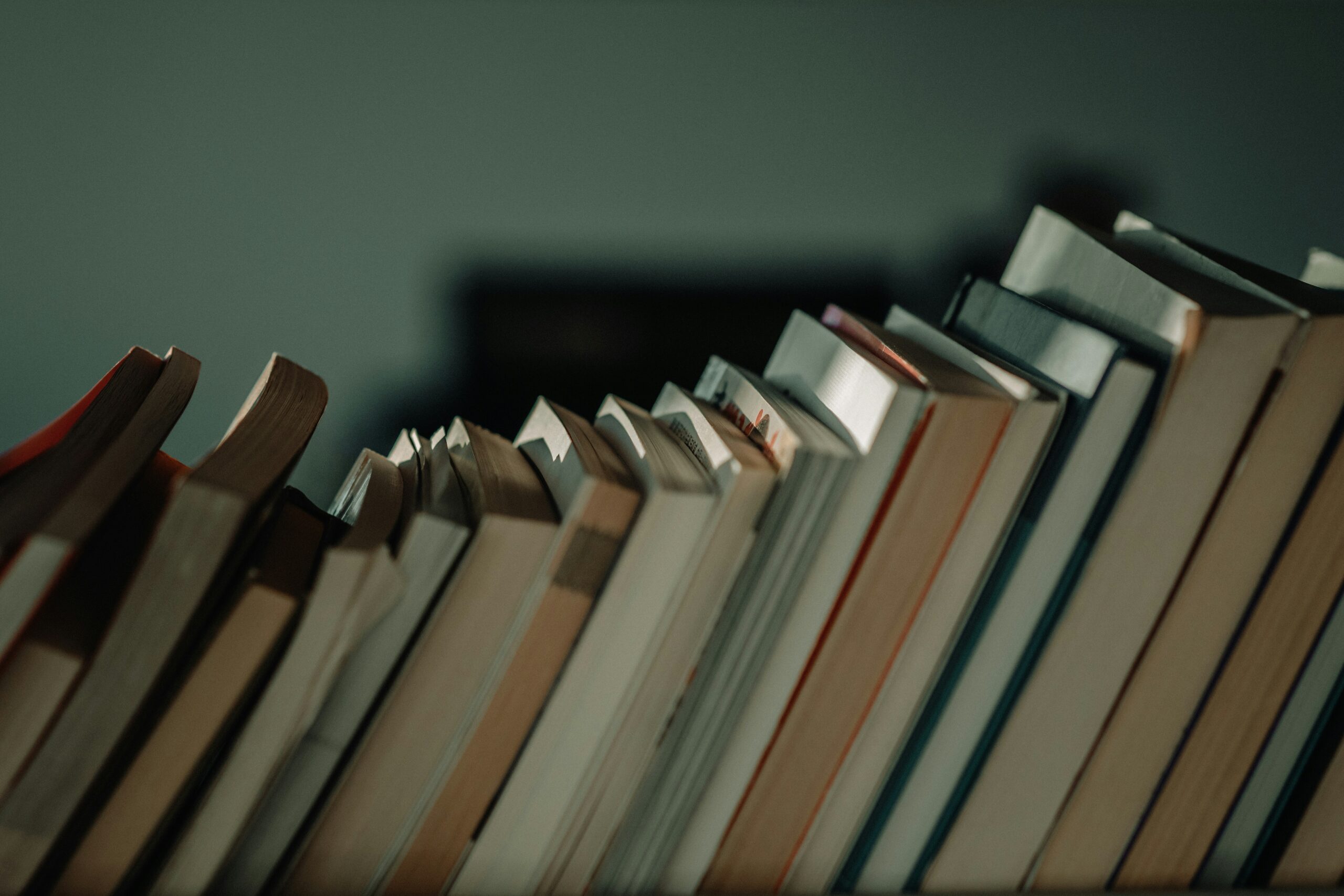 jason-w-PBNbMX6jtBM-unsplash best book store kochi